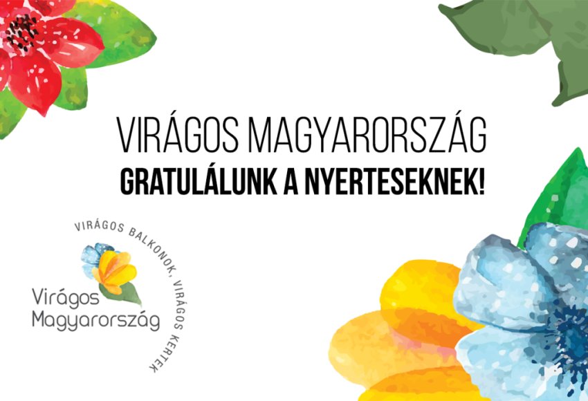 2024-ben Oroszlány érdemelte ki „Virágzó közösségét” díját