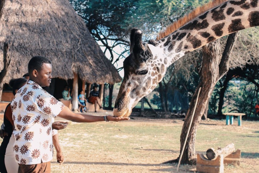 Kenya a vadon szívétől az Indiai-óceán partjáig